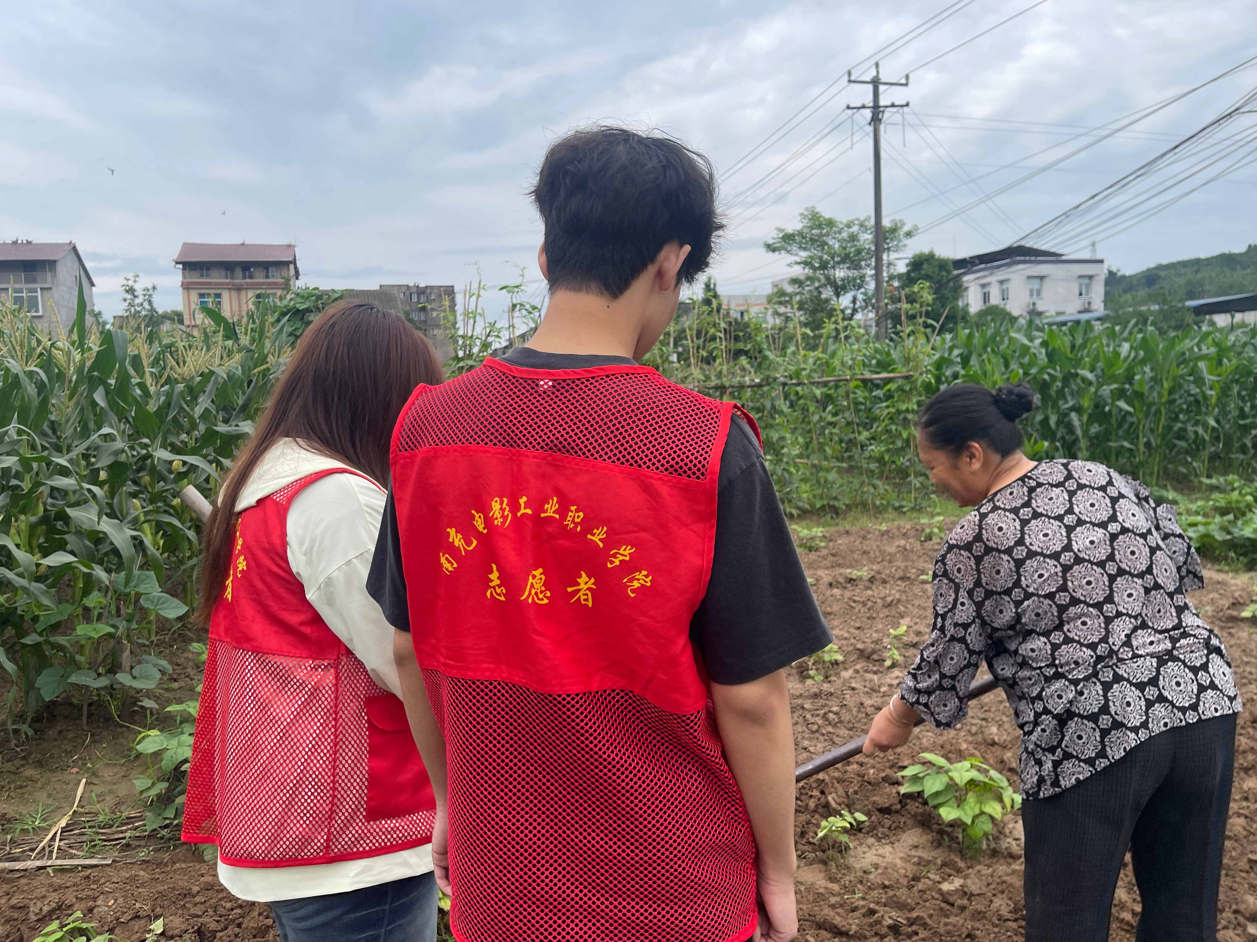 微信图片_20260625151835.jpg